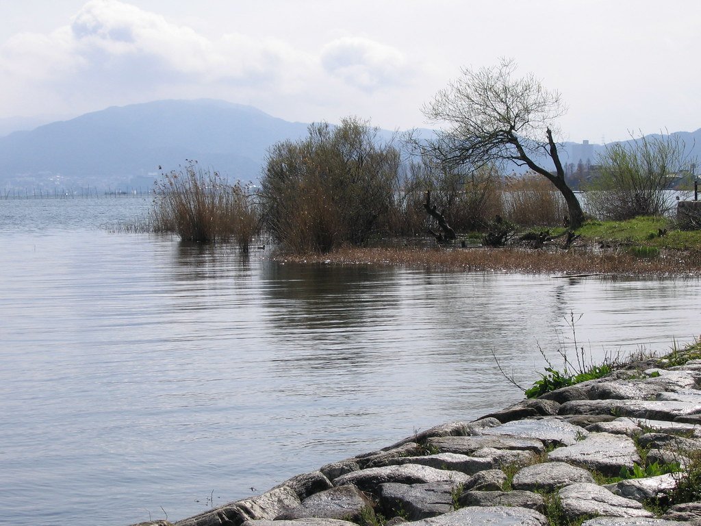 🏞️ 사카모토 성터 공원(사카모토조시코엔) 이미지 4